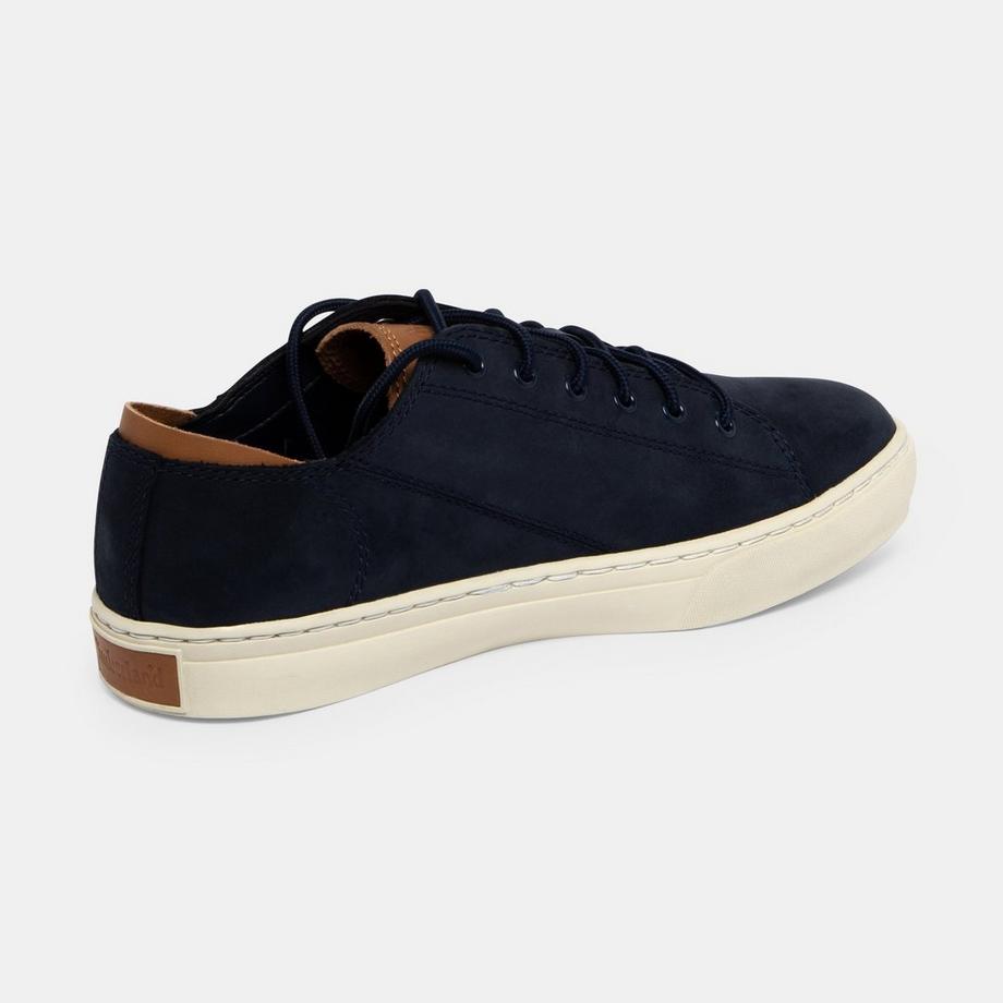 Timberland  Sneakers basse 