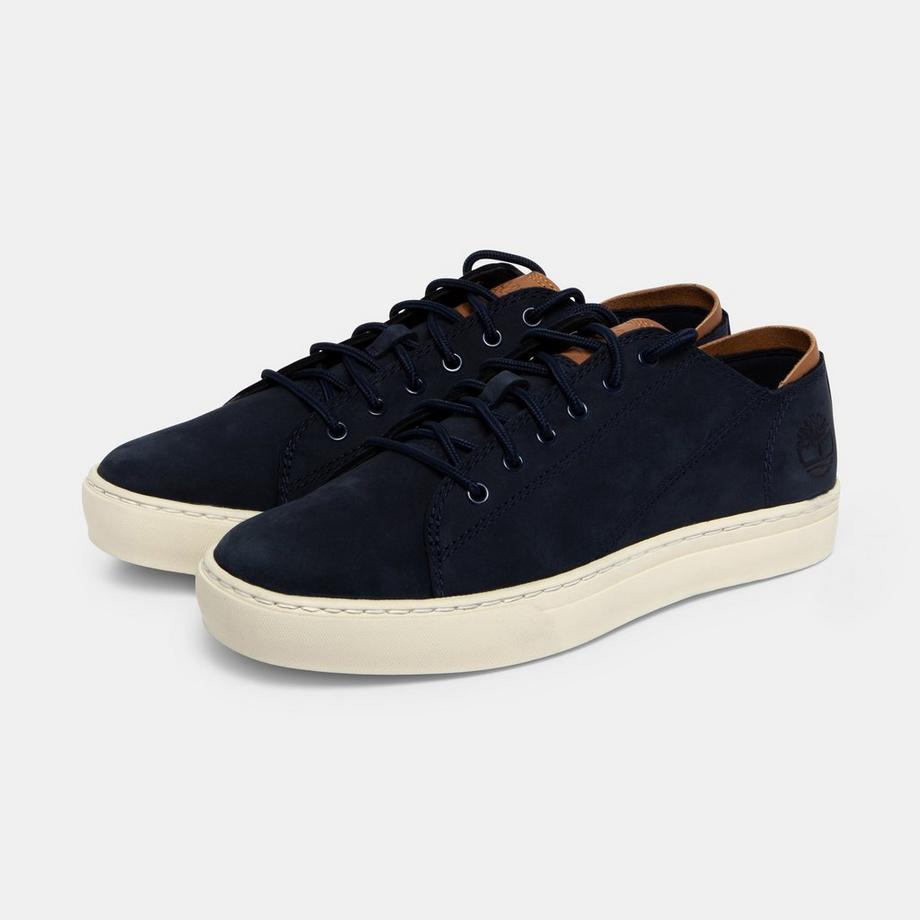 Timberland  Sneakers basse 