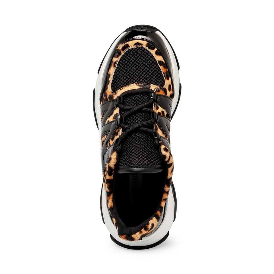 STEVE MADDEN  Sneakers, bas 