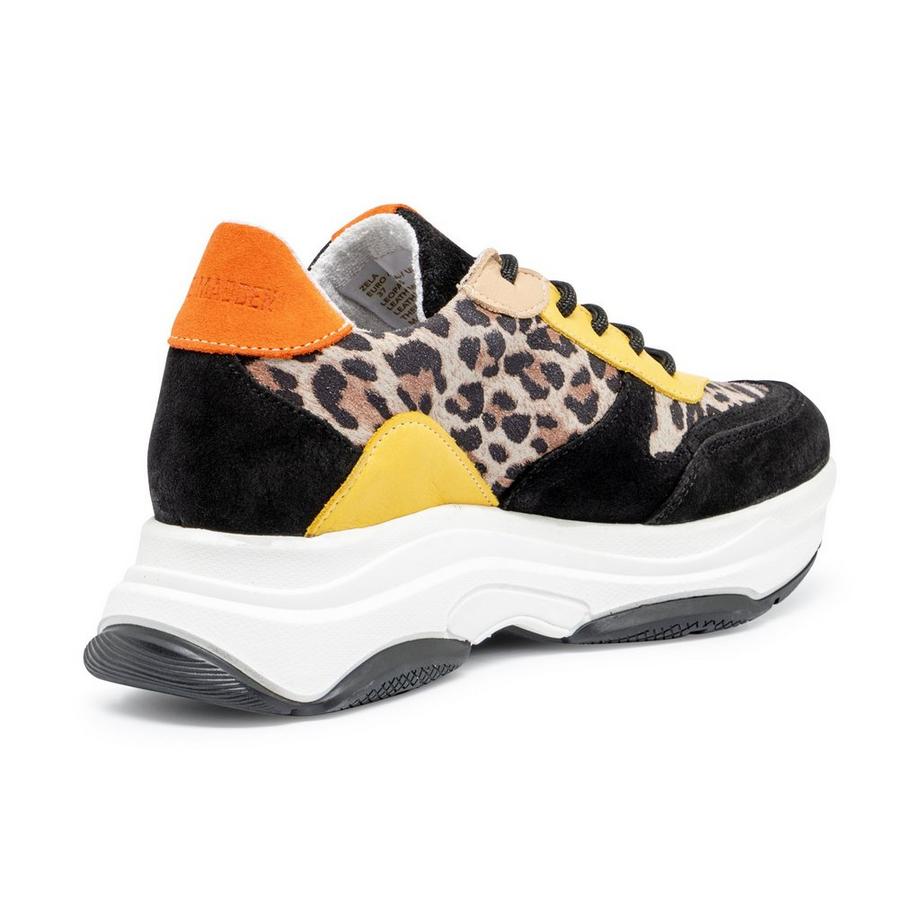 STEVE MADDEN  Sneakers, bas 