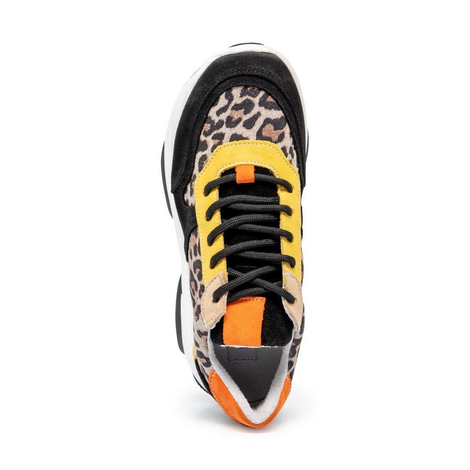 STEVE MADDEN  Sneakers, bas 