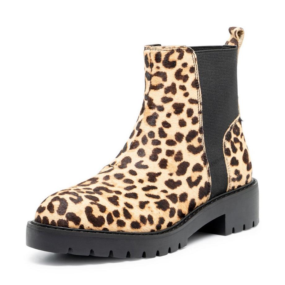 STEVE MADDEN  Bottes Chelsea 