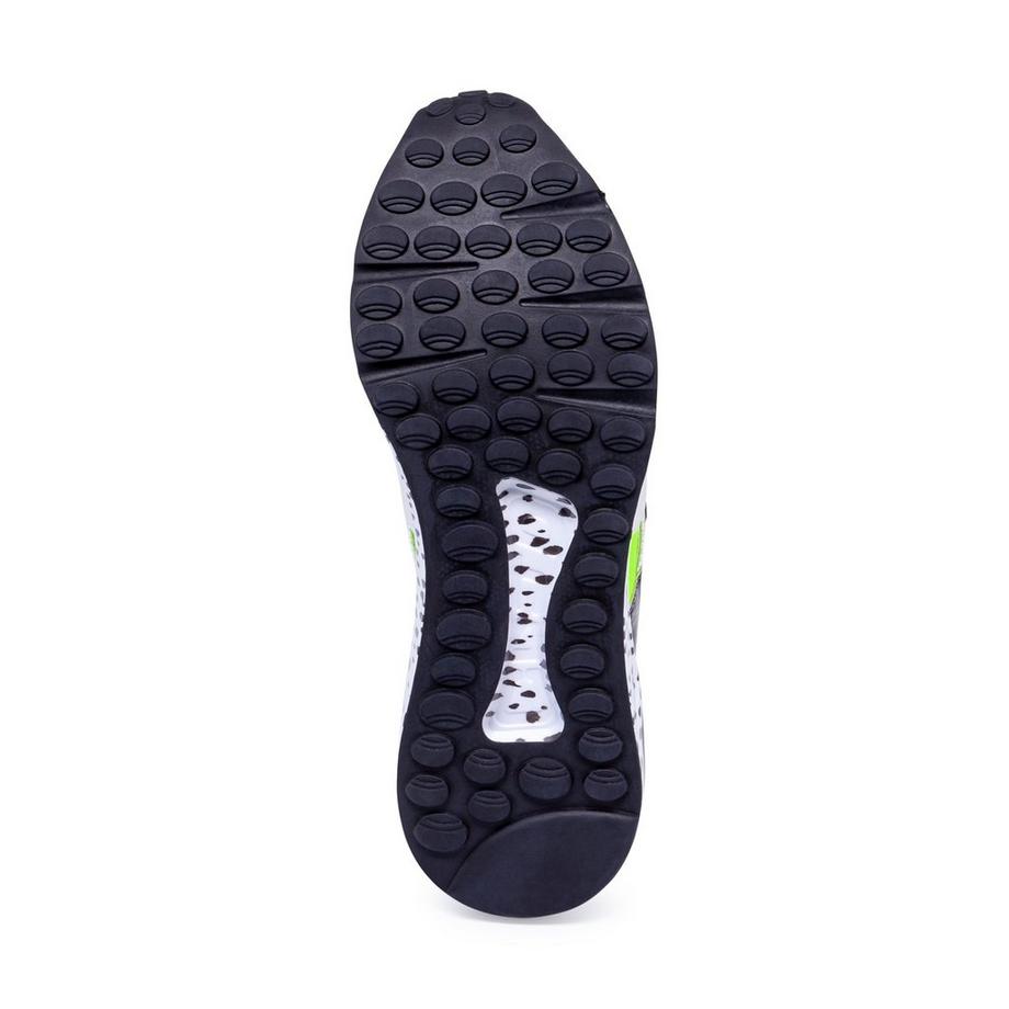 STEVE MADDEN  Sneakers, bas 