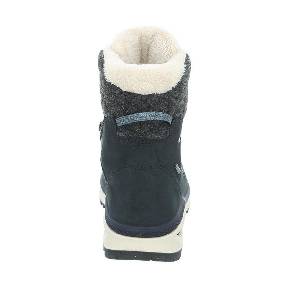 LOWA Renegade Evo Ice GTX WS Winterschuhe 