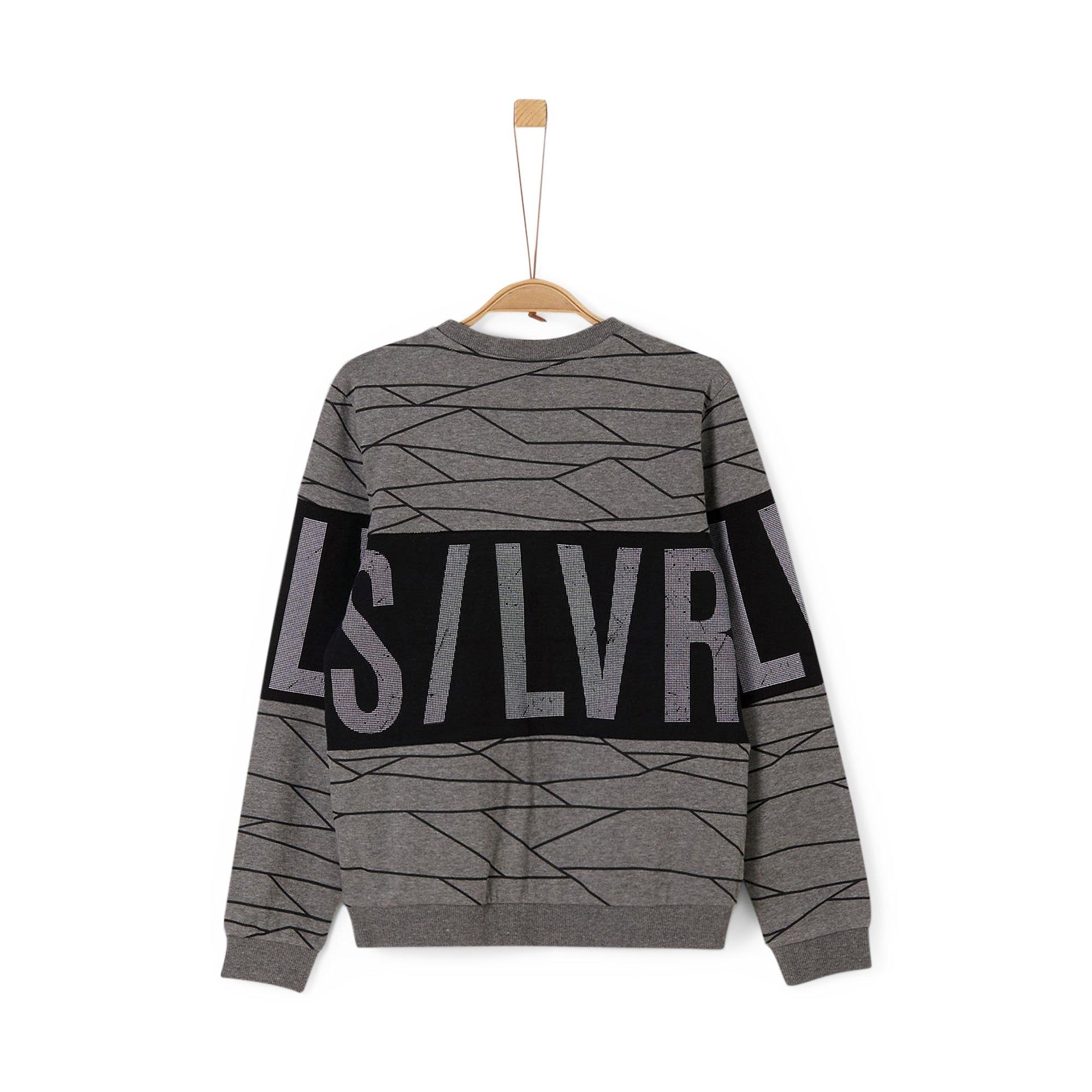 s. Oliver  SWEATSHIRT LANGARM 
