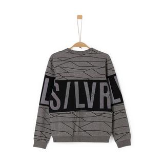s. Oliver  SWEATSHIRT LANGARM 
