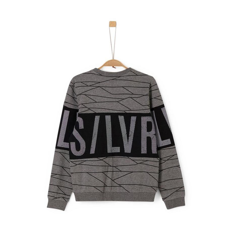 s. Oliver  SWEATSHIRT LANGARM 
