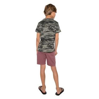 PROTEST  Jungen Shorts Lowell wine 
