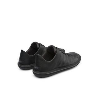 Camper  Sneaker Beetle 