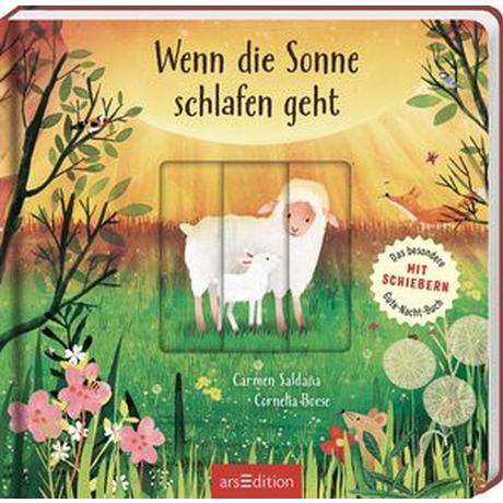 Wenn die Sonne schlafen geht Boese, Cornelia; Saldaña, Carmen (Illustrationen) Copertina rigida 