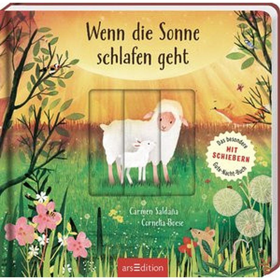 Wenn die Sonne schlafen geht Boese, Cornelia; Saldaña, Carmen (Illustrationen) Copertina rigida 