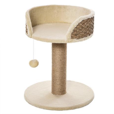 Northio  Petit Arbre À Chat, Arbre À Chat De 49 Cm, Arbre À Chat Avec Balle De Jeu, Surface De Couchage, Arbre À Grimper Pour Chats Jusqu'À 4 Kg, Meubles Pour Chat, Jute, Café 