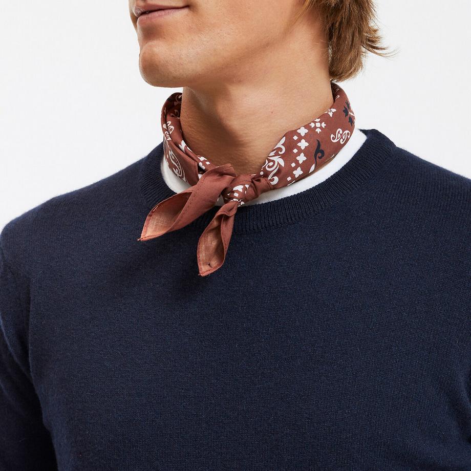 La Redoute Collections Pull Cachemire Laine  