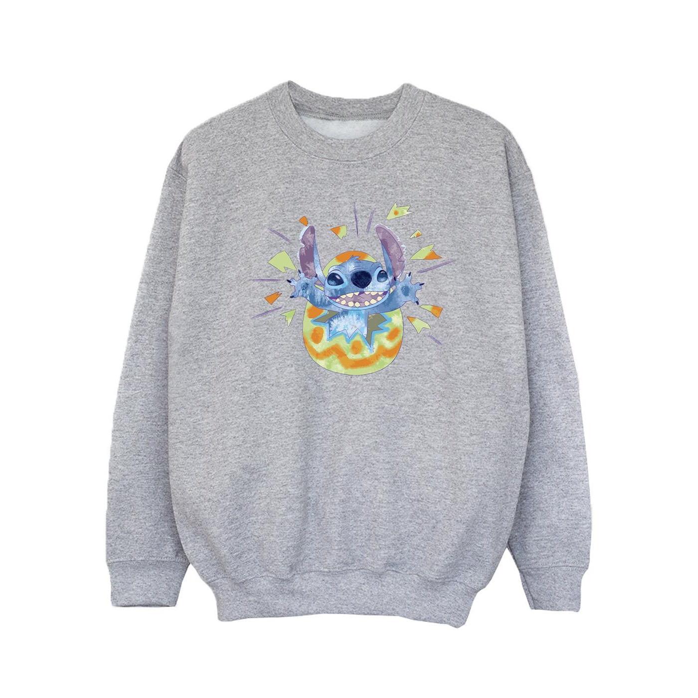 Disney  Sweatshirt 