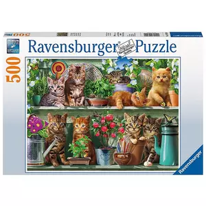 Puzzle Katzen im Regal (500Teile)