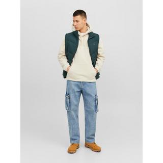 JACK & JONES Jorsilverlake Hoodie  