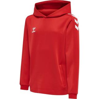 Hummel  kinder-hoodie hmlcore xk 