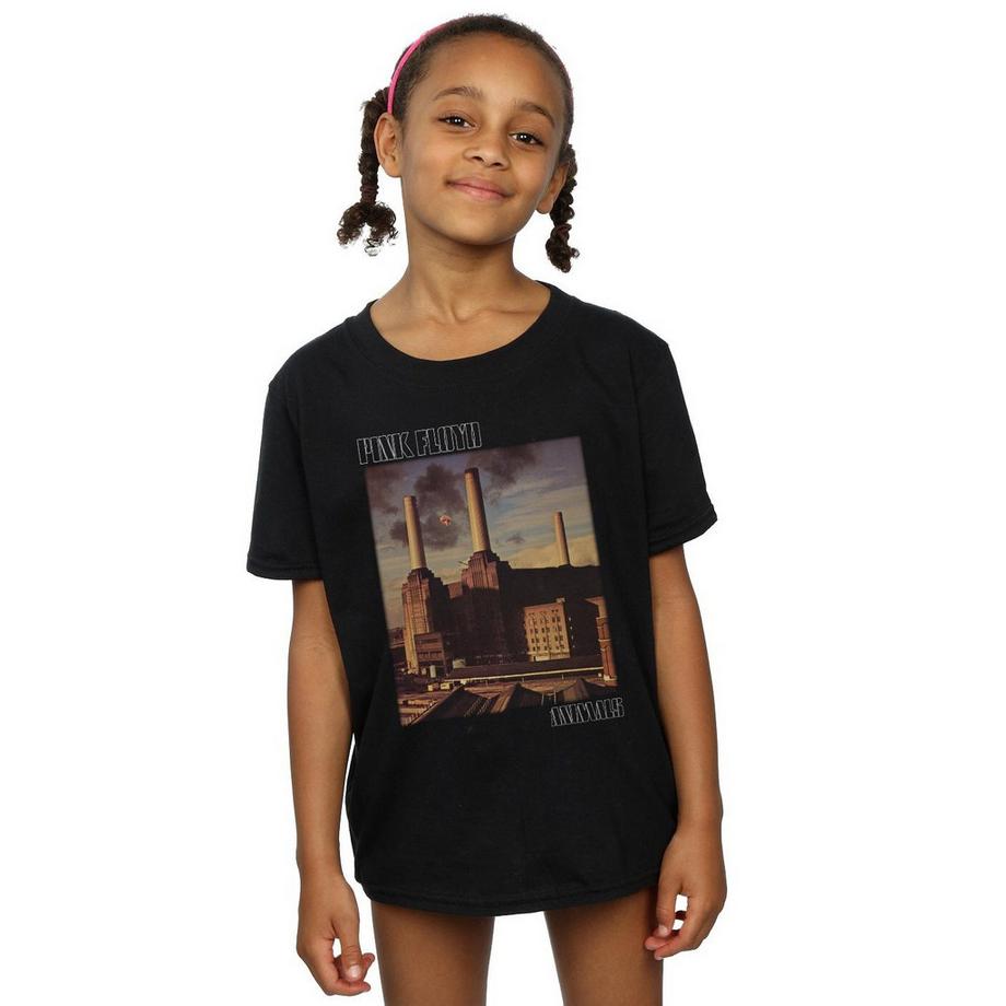 Pink Floyd  Animals TShirt 