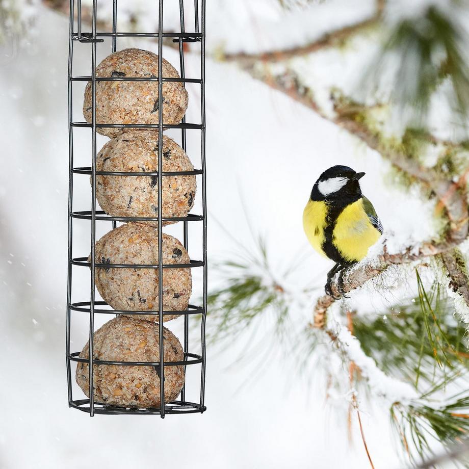 B2X  Halter für Fettkugeln in 