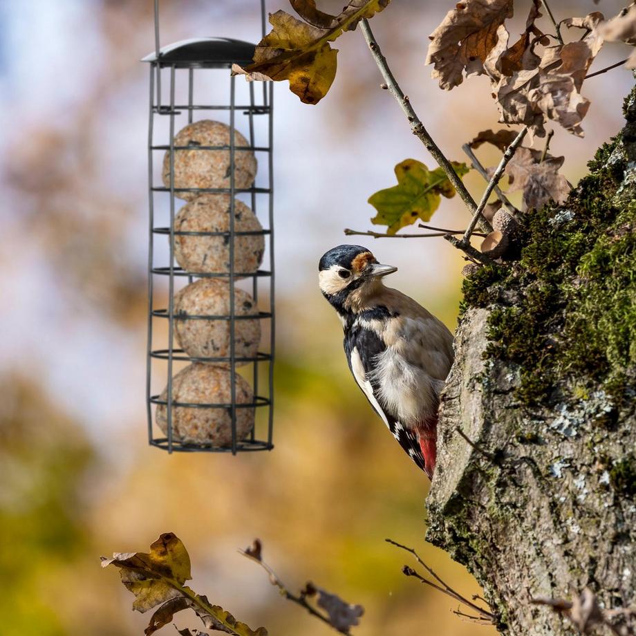 B2X  Halter für Fettkugeln in 