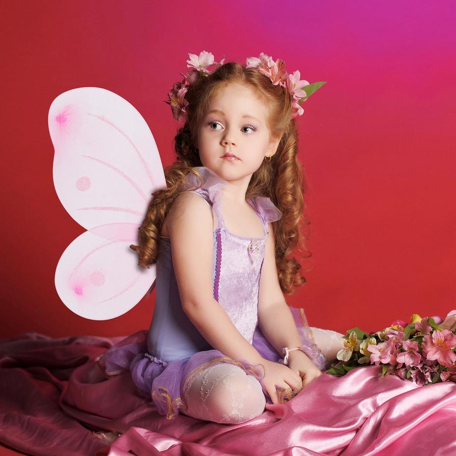 B2X  Feenflügel mit Zauberstab 