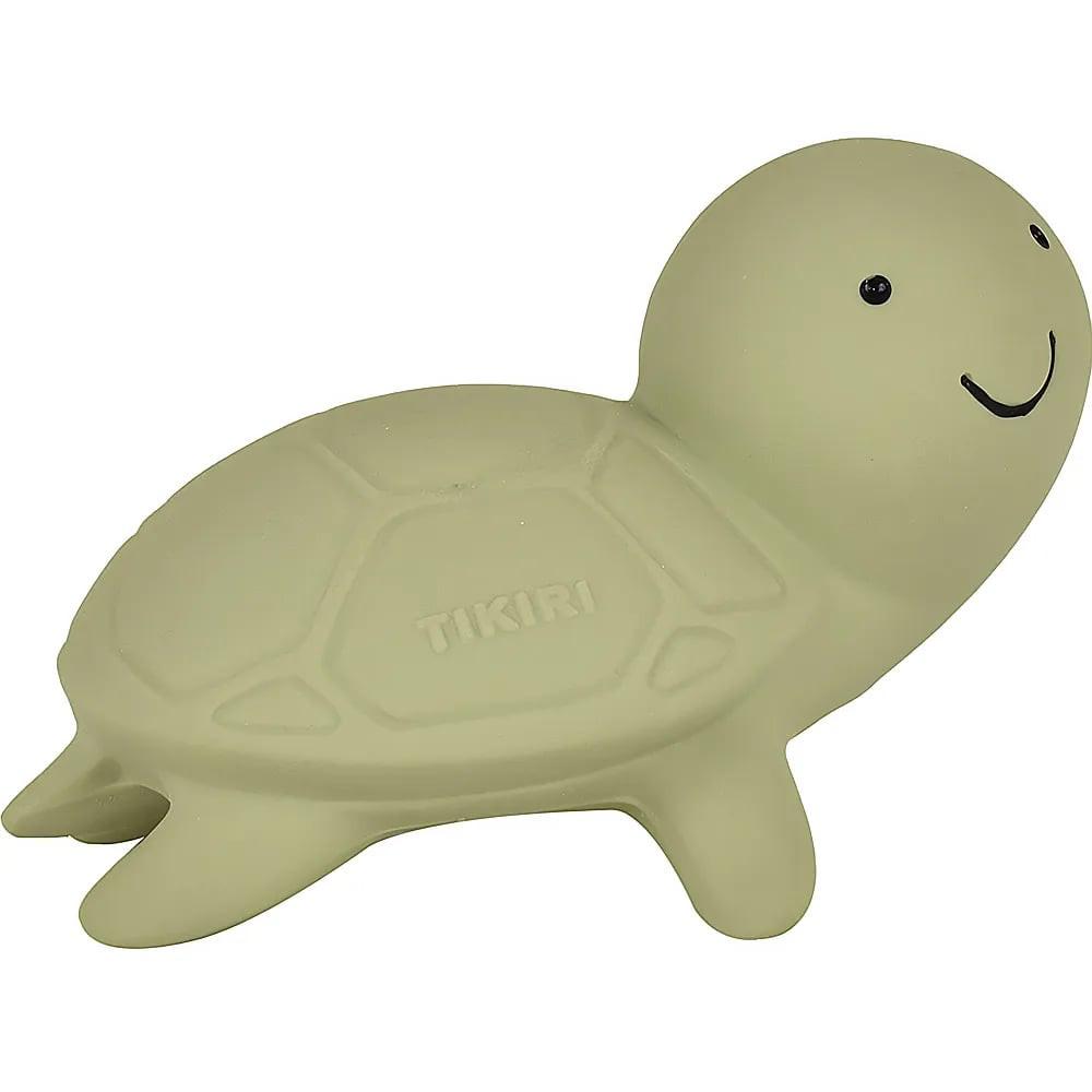 Image of Pure Rassel Schildkröte Grün