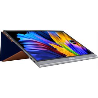 ASUS  ZenScreen OLED MQ13AH 