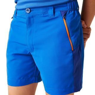 Regatta  Sorcer Mountain III Shorts 