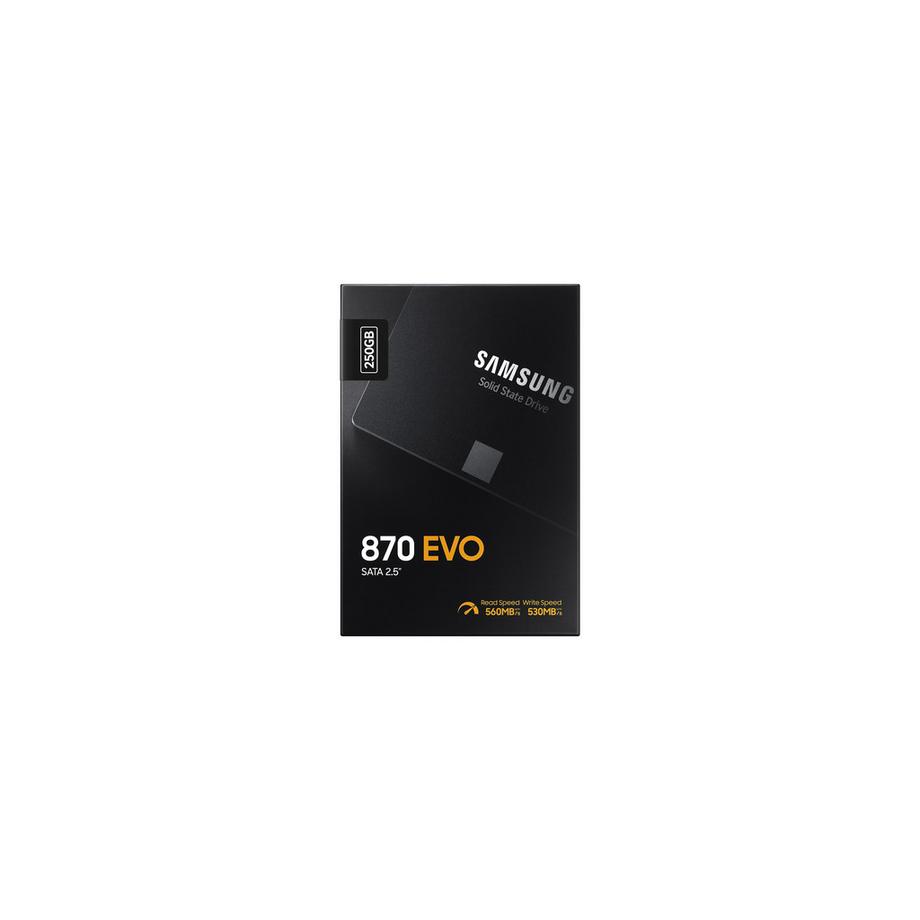 SAMSUNG  SSD 870 EVO 250 GB SATA III 2.5 ZOLL 