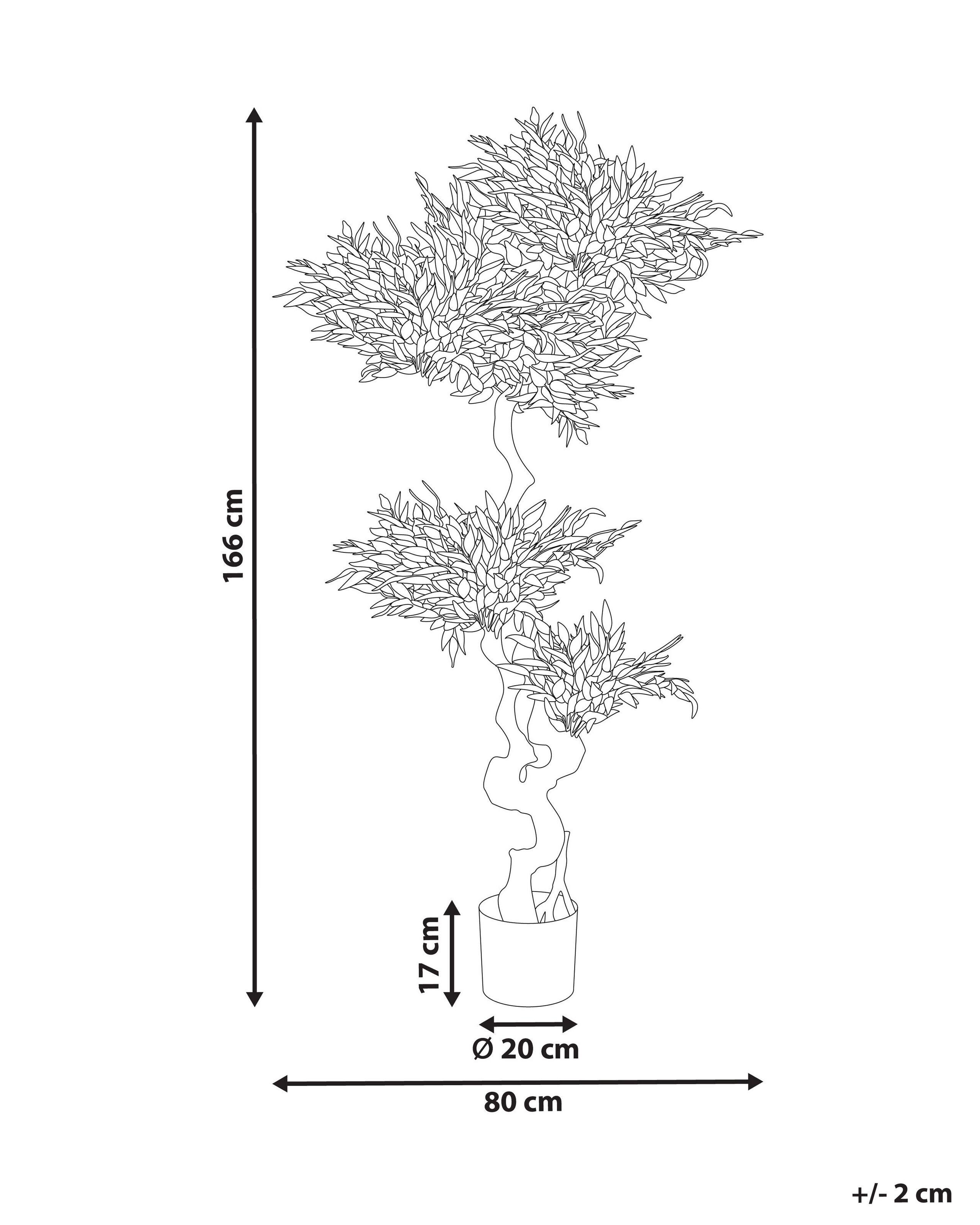 Beliani Plante artificielle en Matière synthétique RUSCUS TREE  