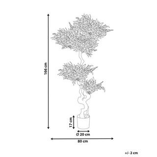 Beliani Plante artificielle en Matière synthétique RUSCUS TREE  