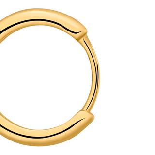 Heideman  Adam goldfarben 