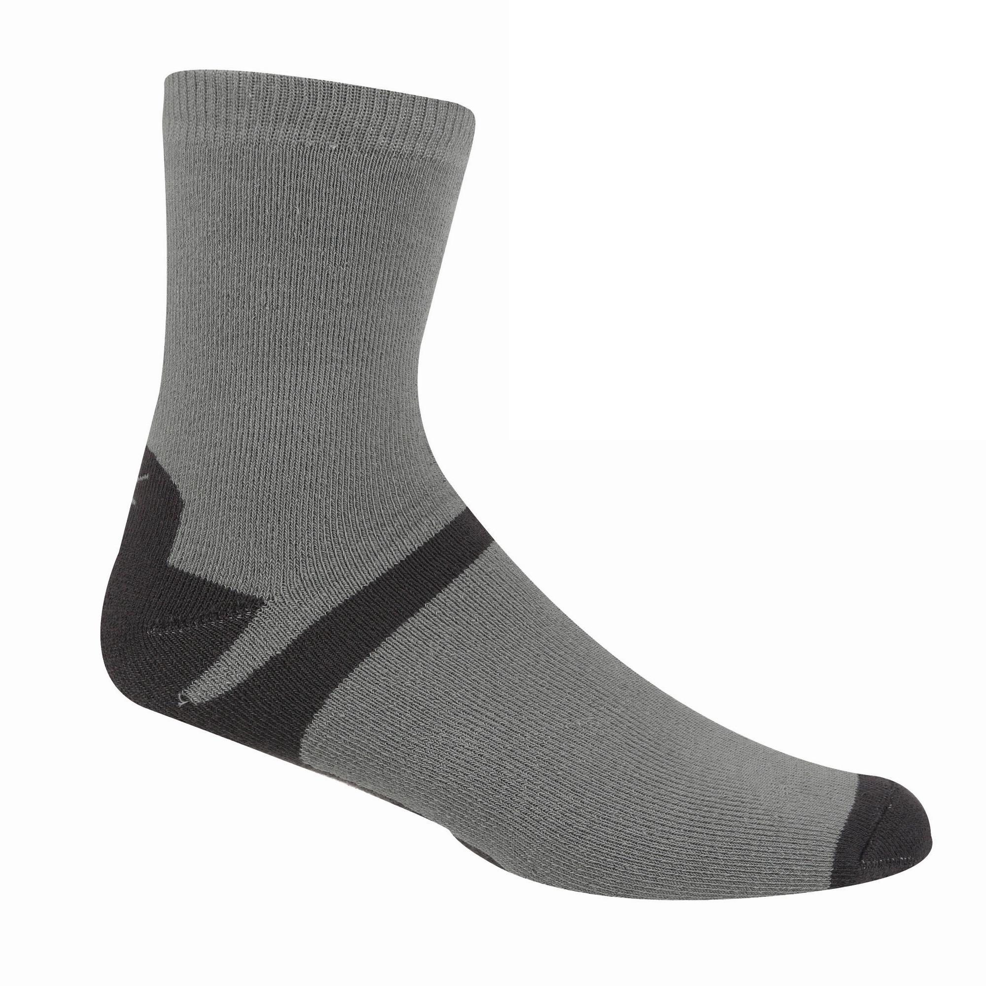 Regatta Lifestyle Knöchelsocken 3er Pack  