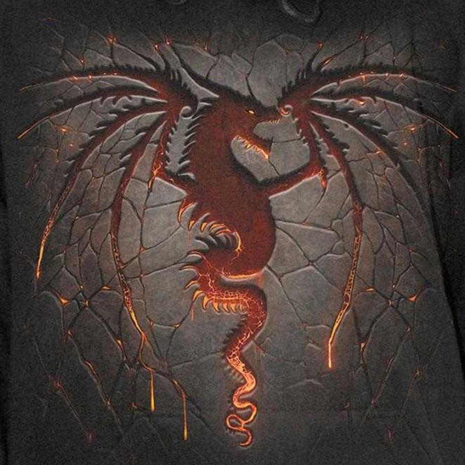 Spiral Sweat à Capuche Dragon Furnace avec Imprimé Dos et Manches  