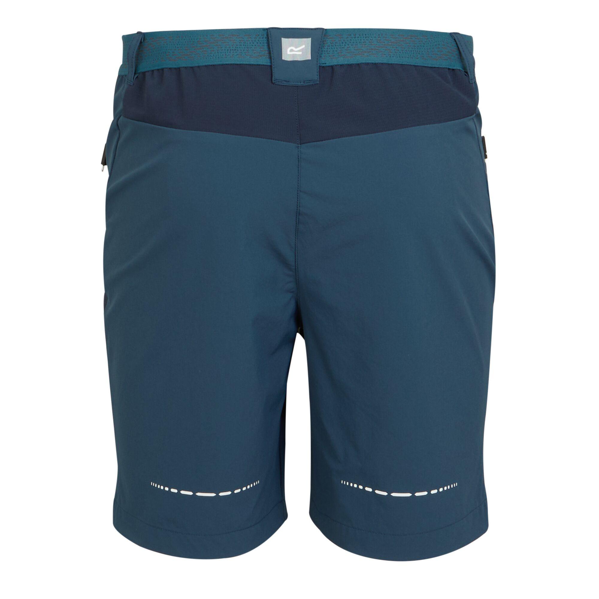 Regatta  Mountain II Shorts 