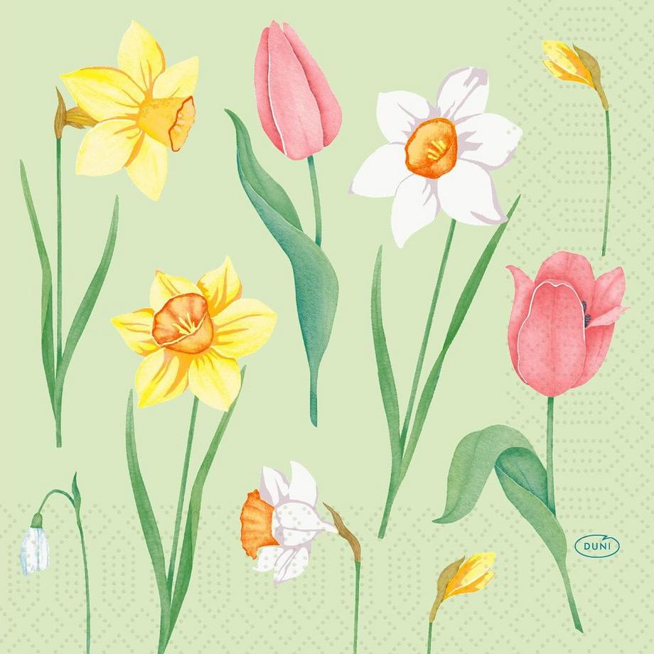 Duni Papierservietten Melody  