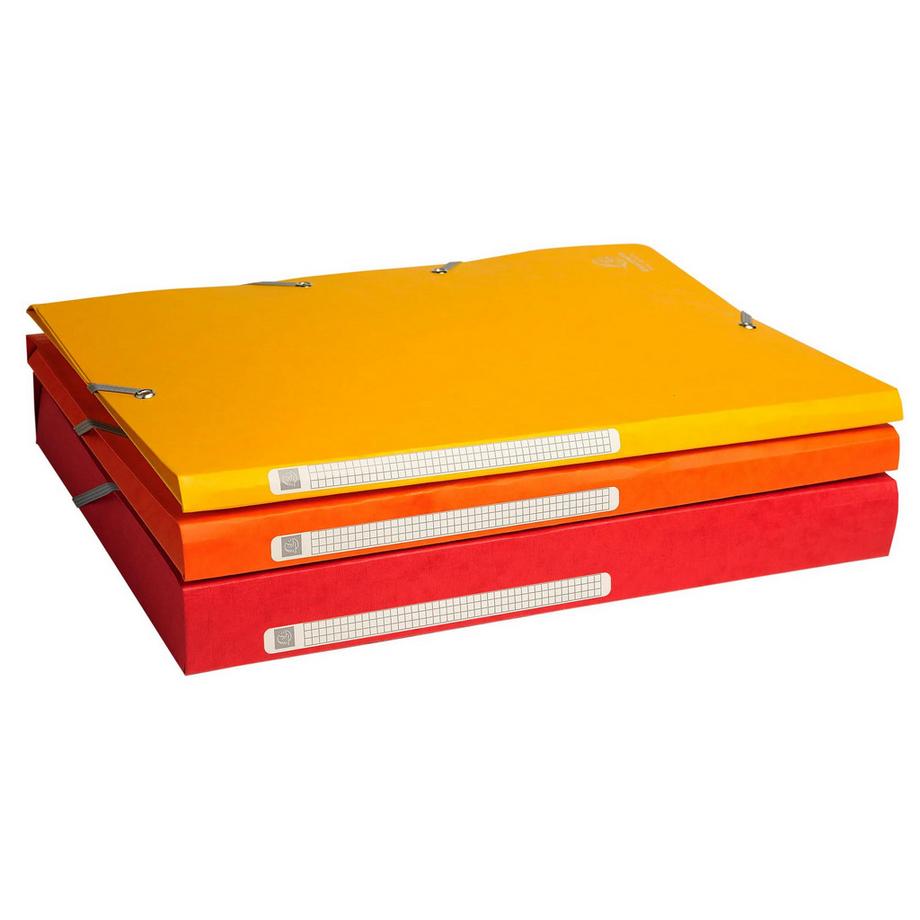 Exacompta Cartella 3 lembi con elastici Maxi capacity cartoncino lustré 425g/mq - A4 - x 50  