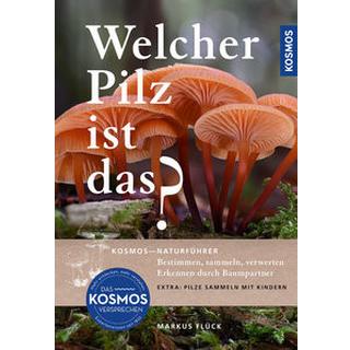 Welcher Pilz ist das? Flück, Markus Copertina rigida 