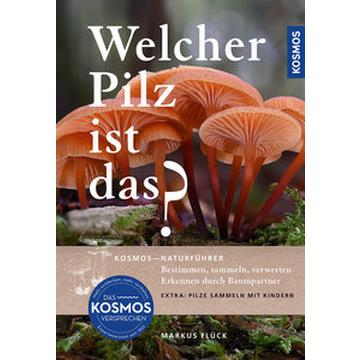 Welcher Pilz ist das?