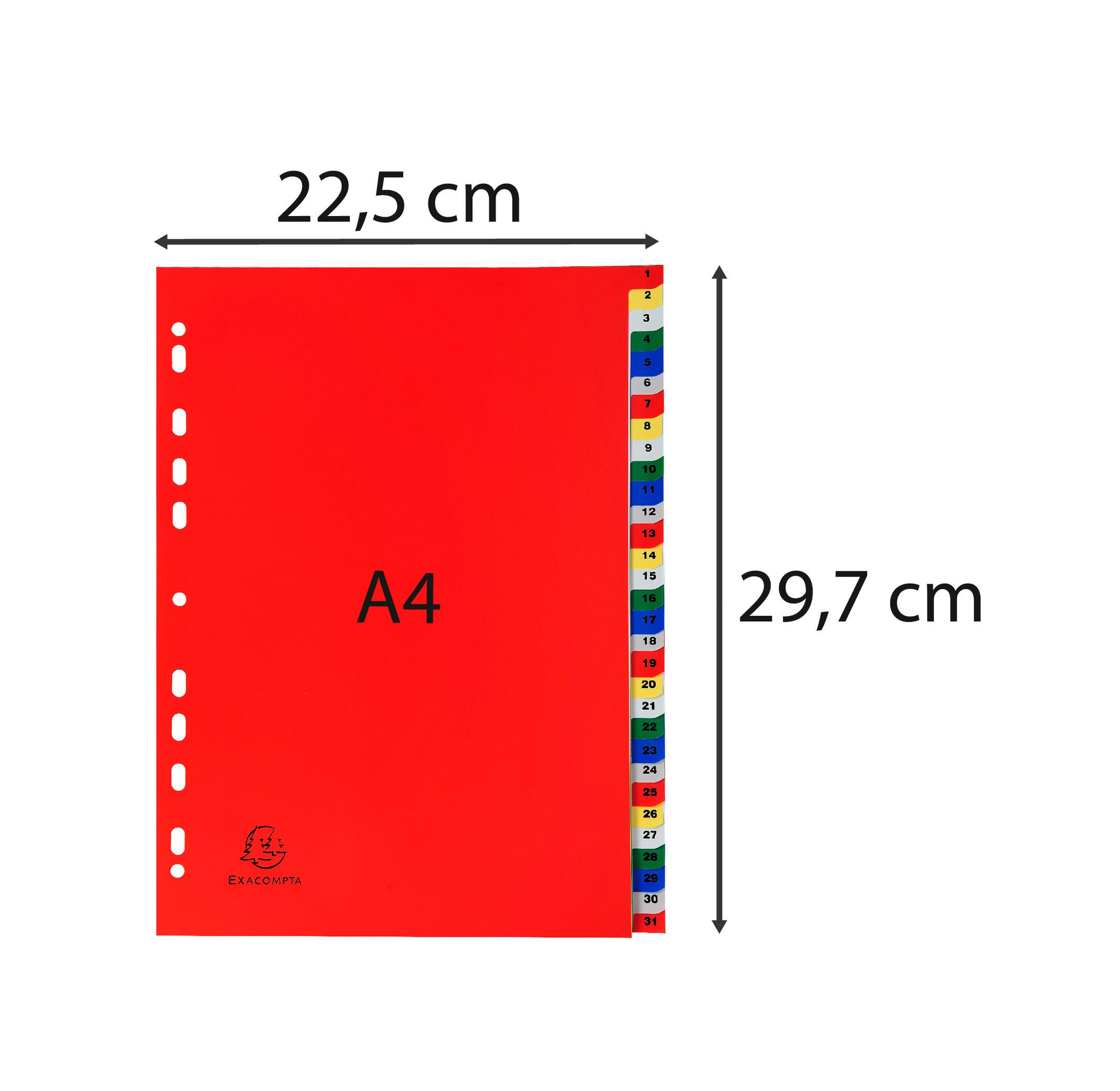 Exacompta Divisori numerici 31 tasti 1-31 polipropilene colori A4 120 micron - A4 - x 20  