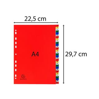 Exacompta Divisori numerici 31 tasti 1-31 polipropilene colori A4 120 micron - A4 - x 20  