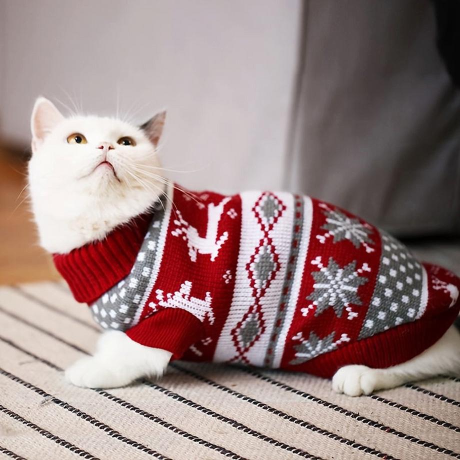 Alopini  Pull de Noël en tricot pour chats et petits chiens - motifs de rennes et de flocons de neige, pull à col roulé chaud pour l'hiver/printemps/automne, XXL 
