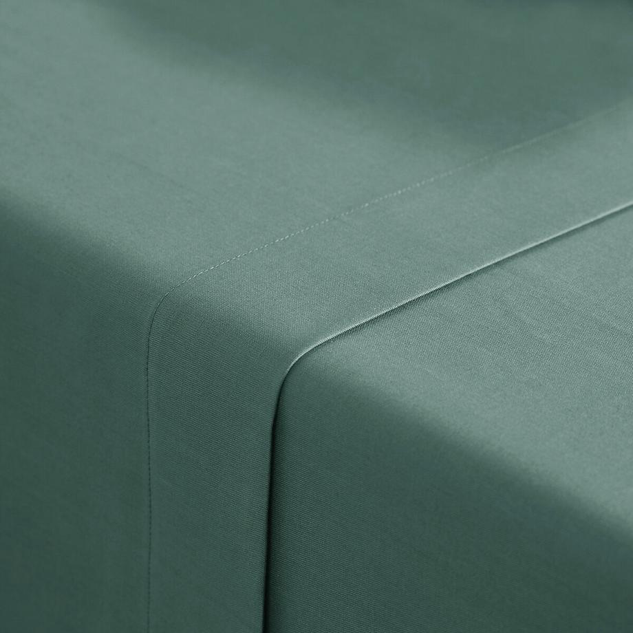 La Redoute Intérieurs Scenario Drap Plat Uni en Polycoton  