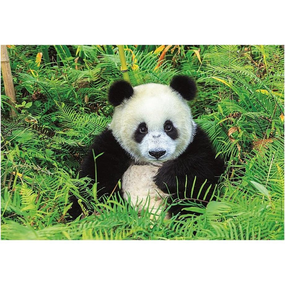 Educa  Puzzle Panda (500Teile) 