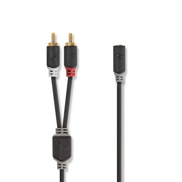 Câble stéréophonique | 2x RCA Hane | 3.5 mm Hona | Guldplaterad | 1.00 m | Round | Antracit | Låda