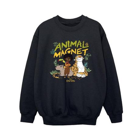 Disney  Encanto Sweatshirt 