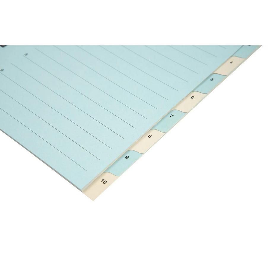 Biella BIELLA Register Karton farbig A4 462440.00 1-10  