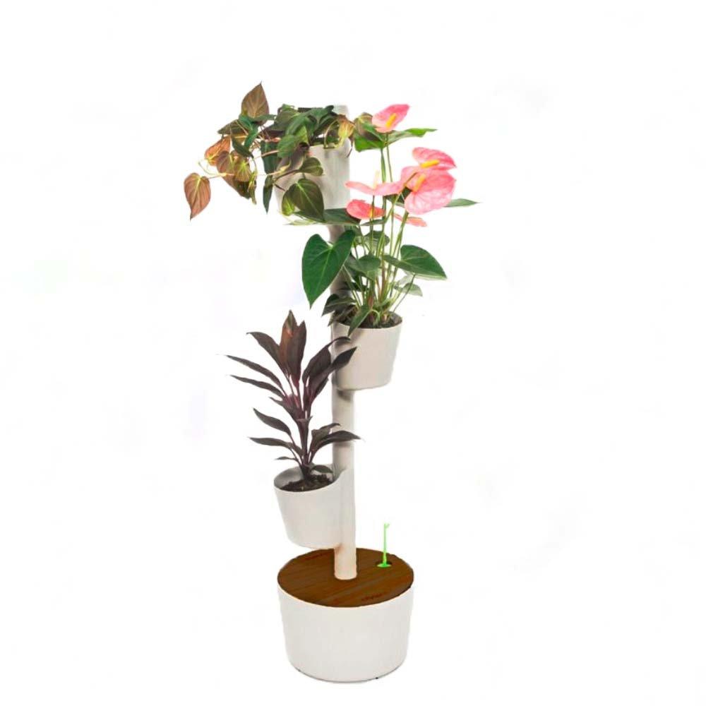 Image of Modularer Vertikaler Pflanzengefäss Modularer Vertikaler Pflanzengefäss