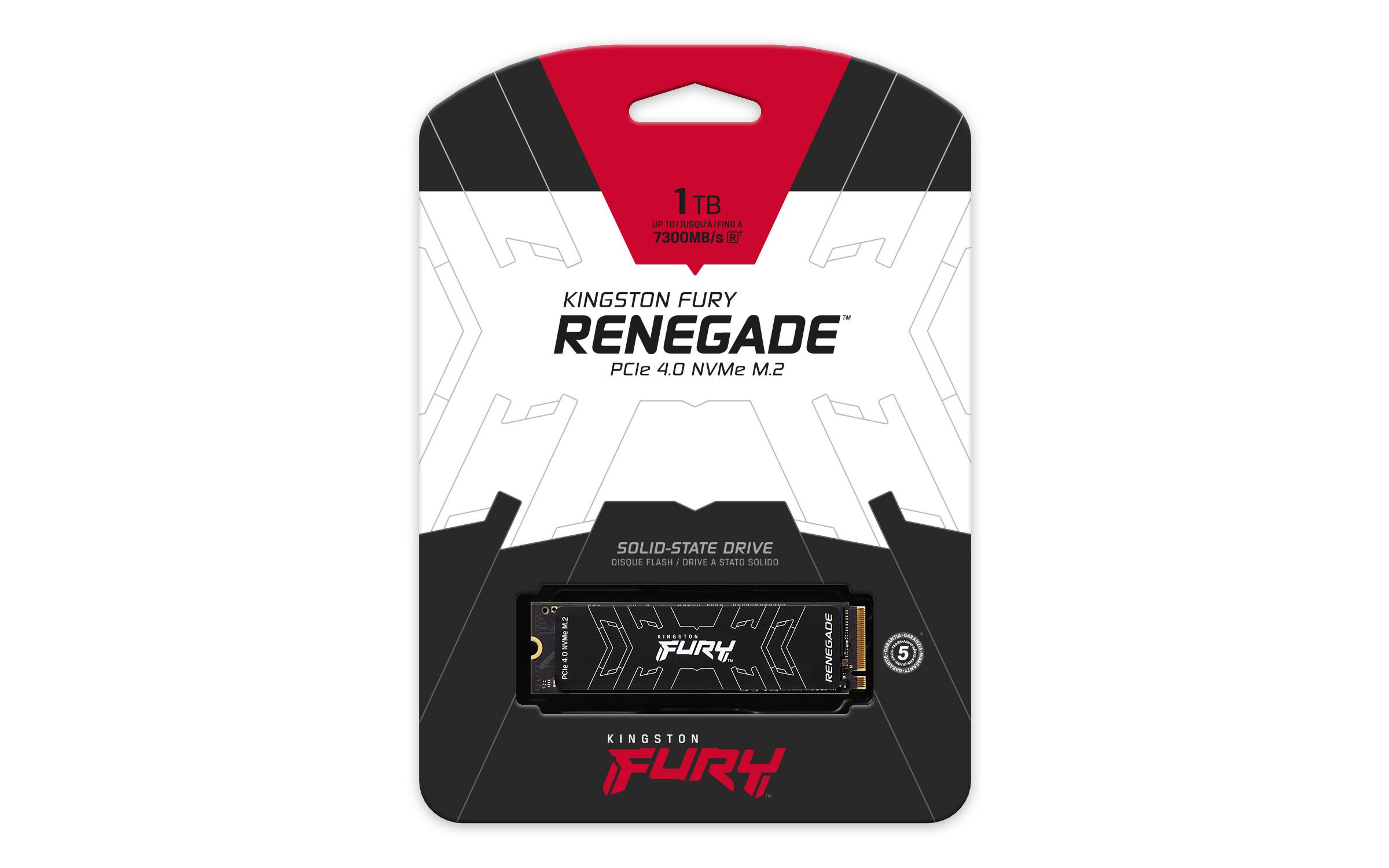 Kingston  1000G FURY RENEGADE M.2 2280 NVMe SSD 