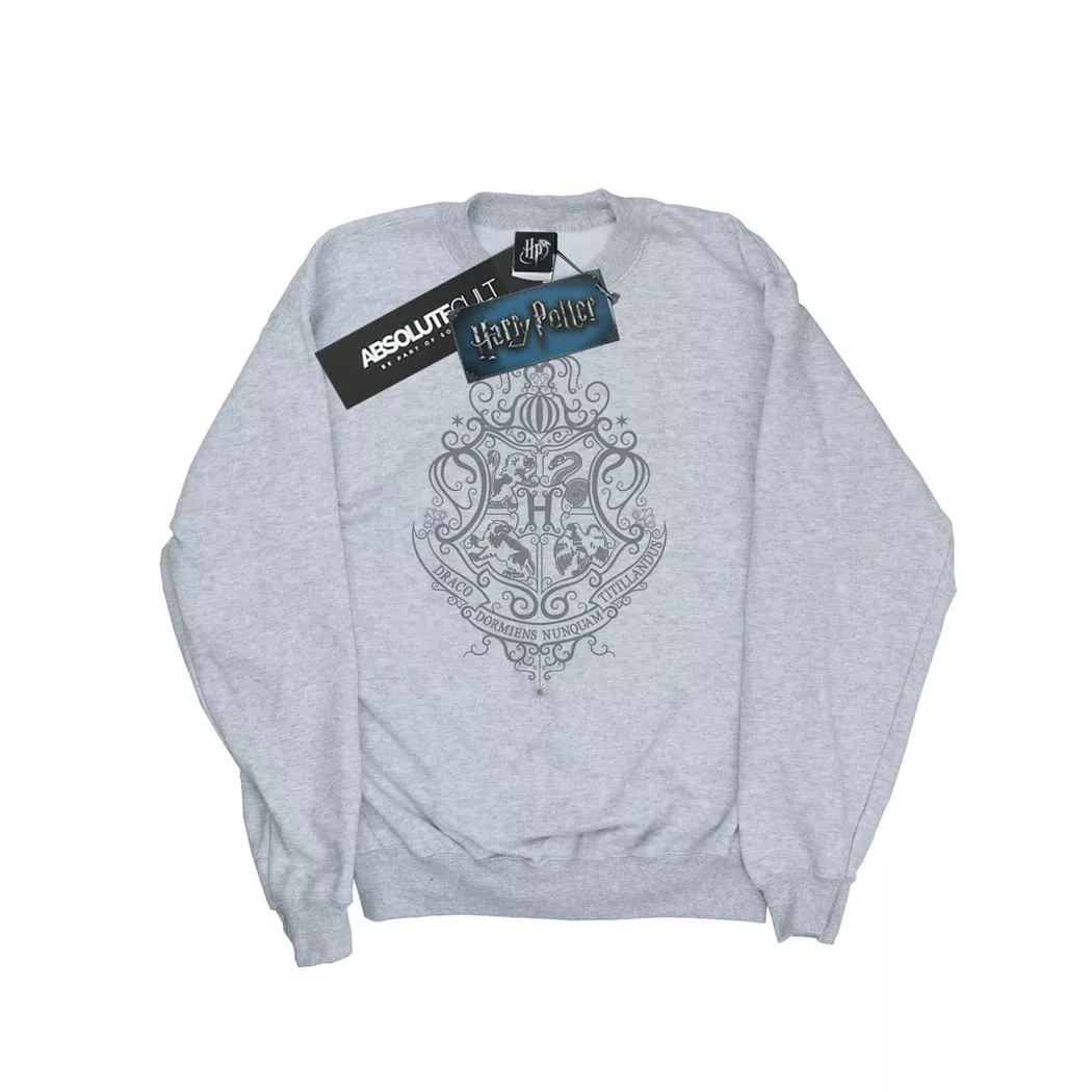 HARRY-POTTER - Hogwarts Draco Dormiens Sweatshirt, 128, Grau